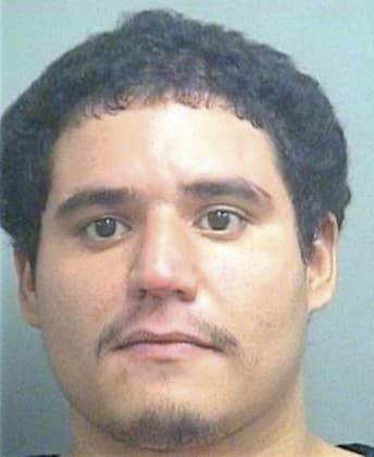 Antonio Hernandezalverez, - Palm Beach County, FL 